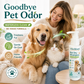 🐶Shampoo Secco in Mousse per Cani e Gatti 🐱 | Senza Risciacquo, Pulizia Rapida e Controllo degli Odori | Flacone da 100 ml