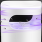 ⏳Offerta speciale a tempo limitato🦟Trappola per mosche UV con contenitore trasparente