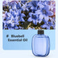 🌸50% di sconto🔥Diffusore di fragranze intelligente per gli spazi di tutti i giorni
