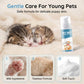 🐾 Mousse Detergente a Secco per Cani e Gatti 60ml