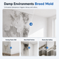 Wall & Ceiling Mold Remover Spray