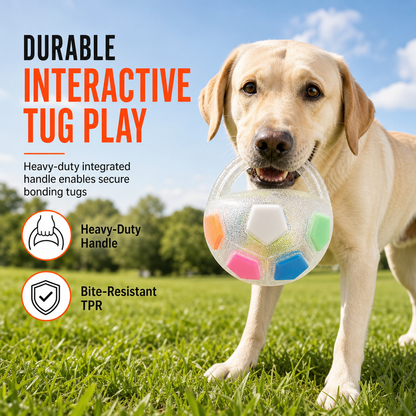 Giocattolo interattivo a forma di pallone da calcio per cani con linguette da afferrare